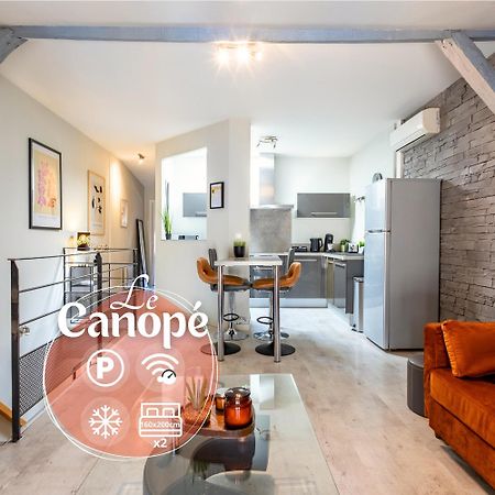 Le Canope - T3 Duplex, 2 Salles D'Eau, Hypercentre Castres (Tarn) Exterior foto