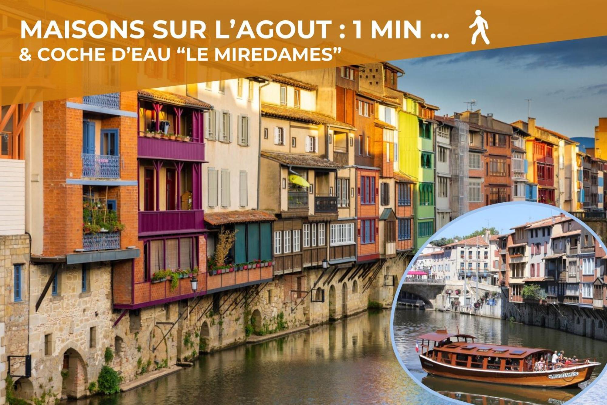 Le Canope - T3 Duplex, 2 Salles D'Eau, Hypercentre Castres (Tarn) Exterior foto