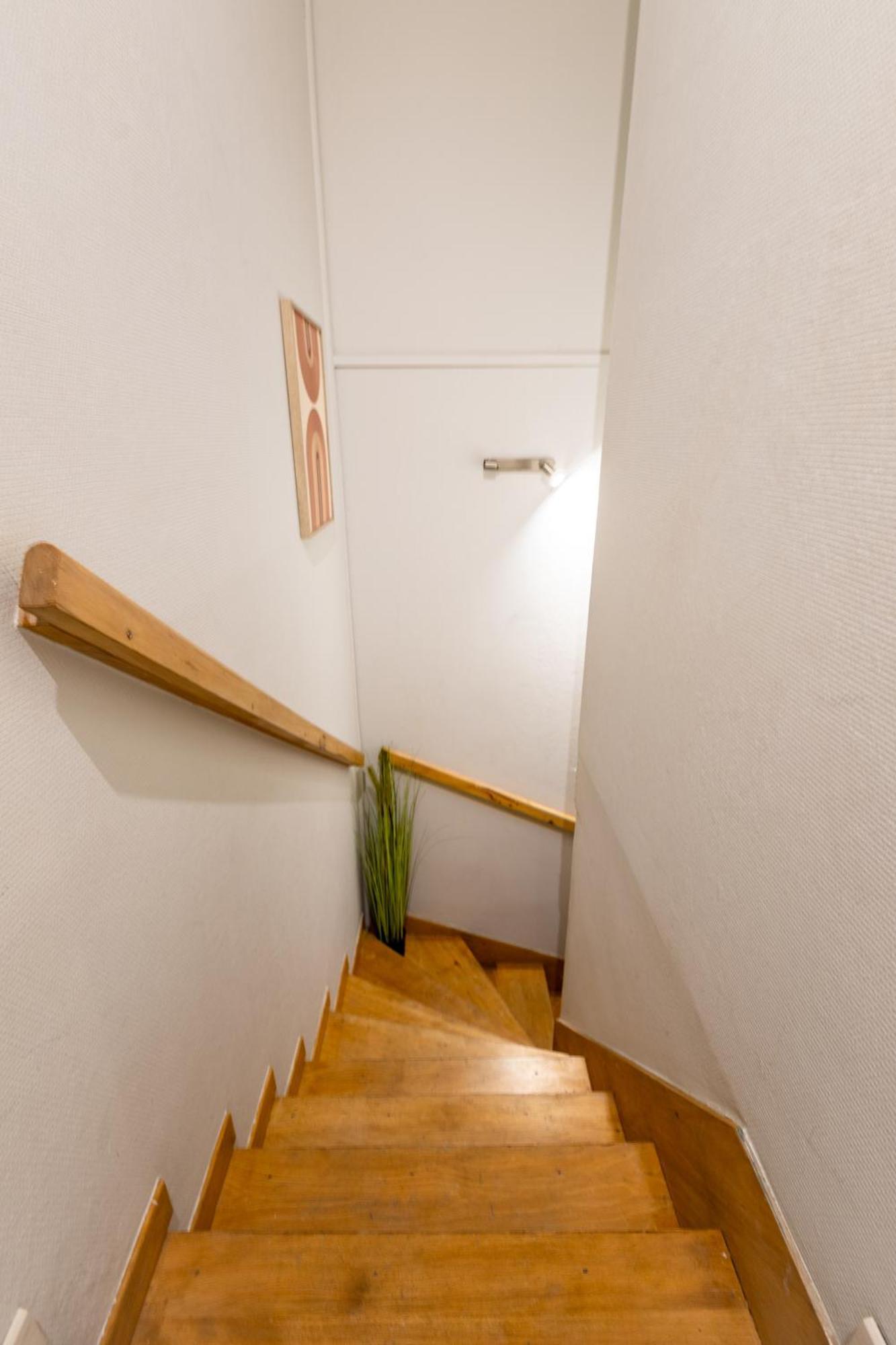Le Canope - T3 Duplex, 2 Salles D'Eau, Hypercentre Castres (Tarn) Exterior foto