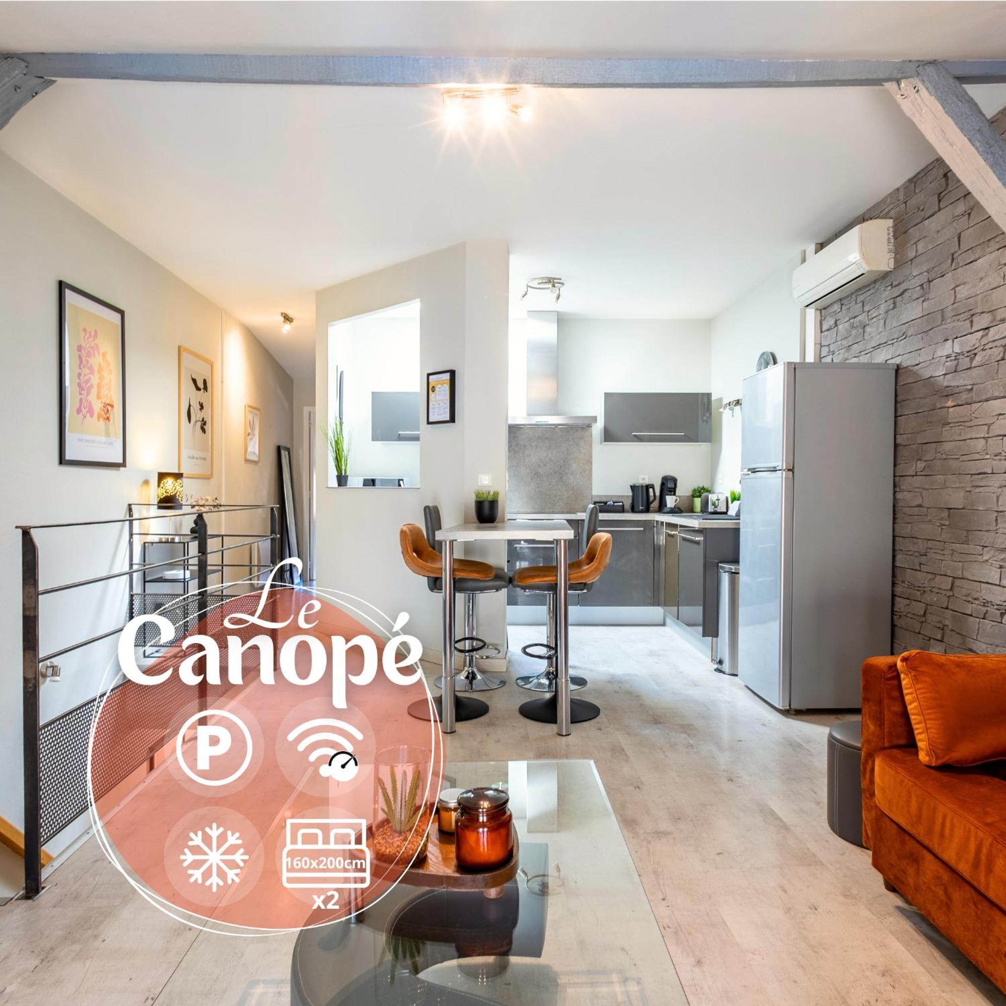 Le Canope - T3 Duplex, 2 Salles D'Eau, Hypercentre Castres (Tarn) Exterior foto